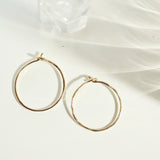 Hula Hoop Earrings