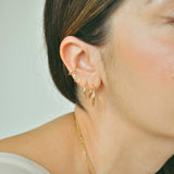 The Classic Hoops