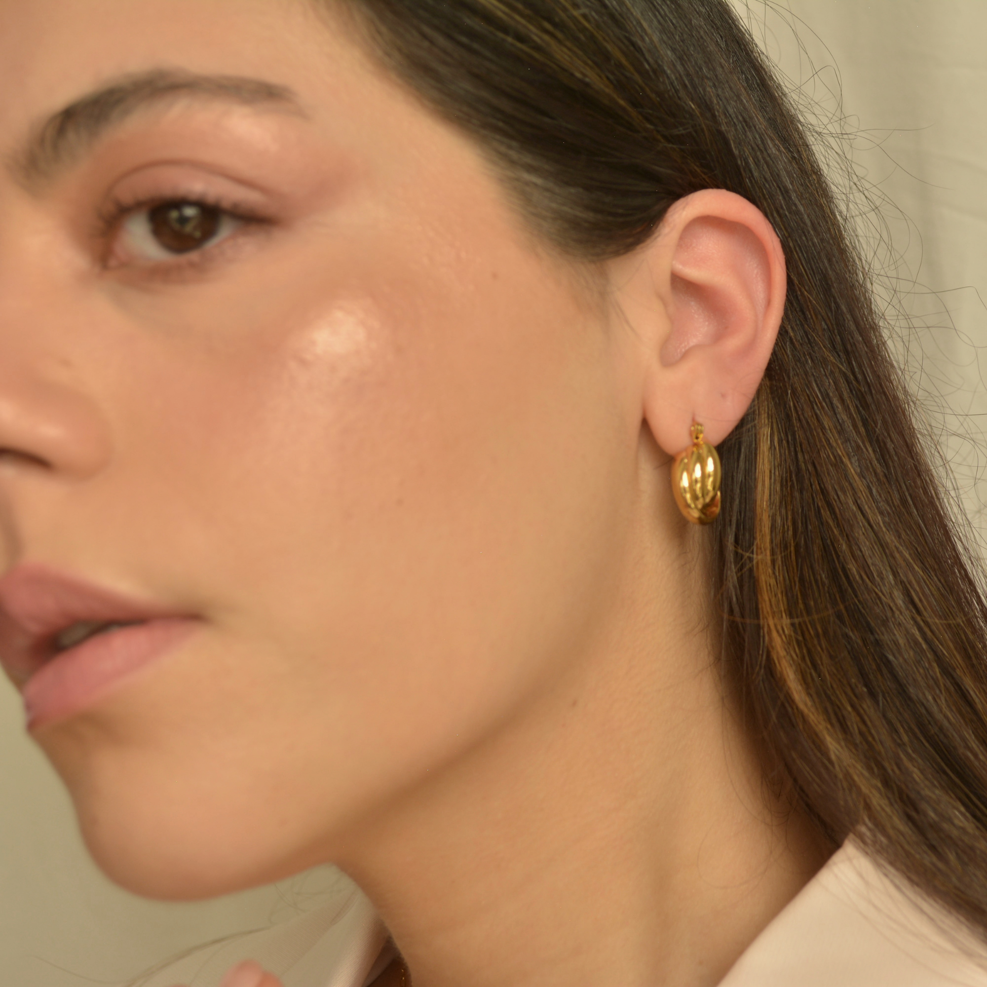 Small Hoop Earrings