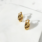 Small Hoop Earrings